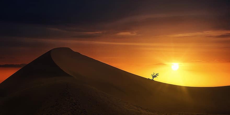 deserto, areia, por do sol, duna, árvore, natureza, panorama, seco, Dom, luz solar, nuvens