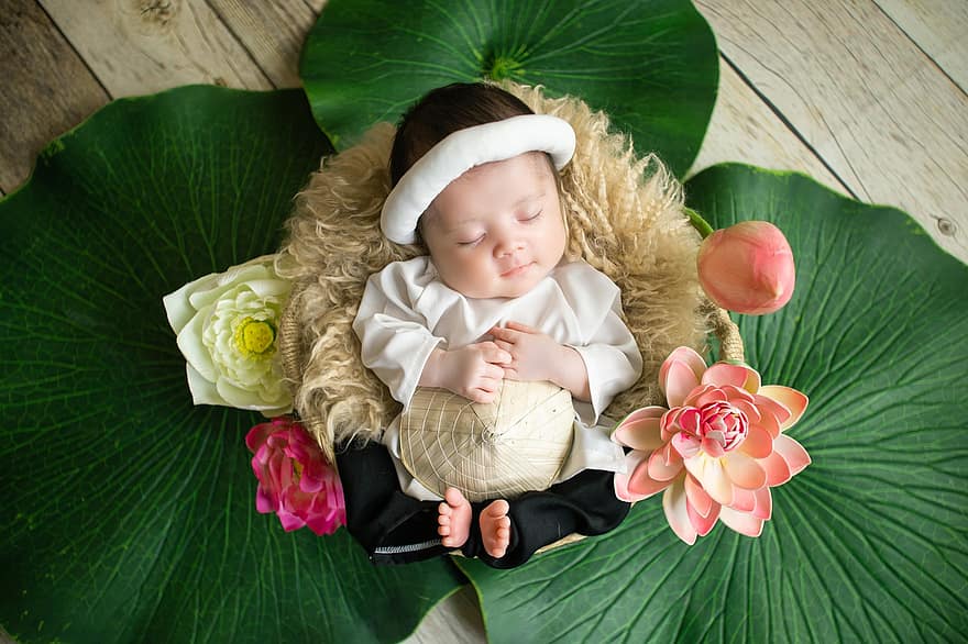 bebis, lotus, blommor, löv, sova, ung, barn, spädbarn