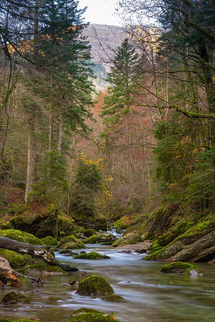 Rocks, Stream, Trees, Brook, Bach, Nature, Landscape, Flow, Flowing Water, Long Exposure, Moss