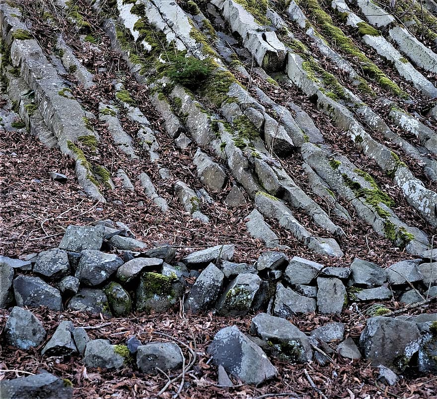록키 슬로프, 바위, 이끼로 자란, 급경사, 둥근 돌, 잎, 농업, 성장, 식물, 록, 닫다