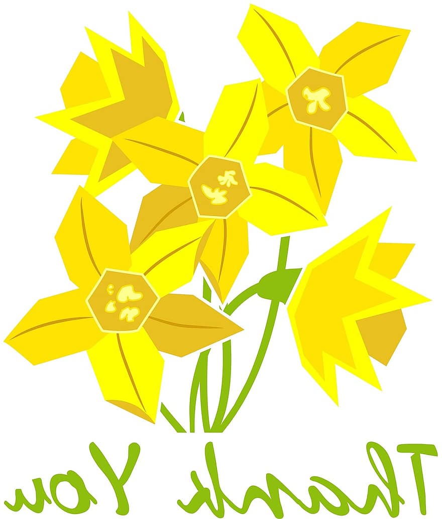Spring, Daffodils, Yellow, Thanks, Thank You, Plant, Nature, Growth, Botany, Season, Bloom
