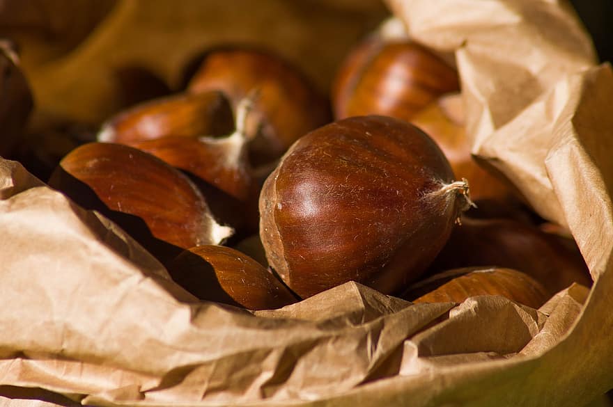 Chestnuts, Nuts, Food, Produce, Harvest, Organic, Fruit, Fall, Autumn