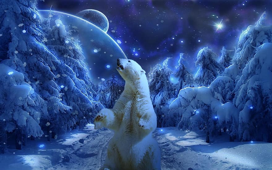 mistic, iarnă, zăpadă, planetă, urs polar, arctic, albastru, animale în sălbăticie, gheaţă, ştiinţă, drăguţ