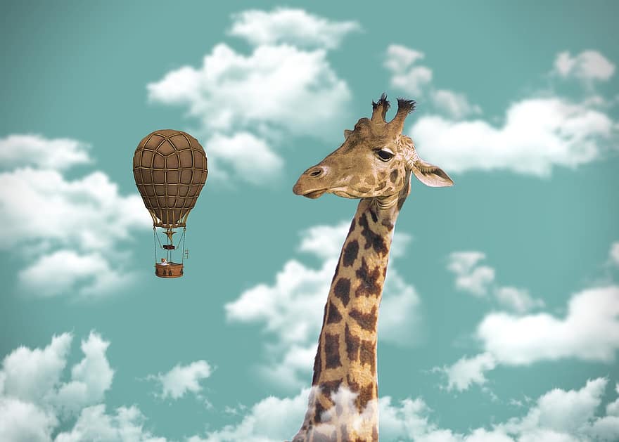 καμηλοπάρδαλη, ζεστό αέρα μπαλόνι, φαντασία, ζώο, θηλαστικό ζώο, μπαλονιών, αερόστατο, ουρανός, steampunk, ψηφιακή τέχνη