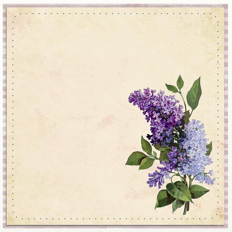floare, fundal, Violet, hortensie, epocă, vechi, antic, inflori, a inflori, botanic, delicat