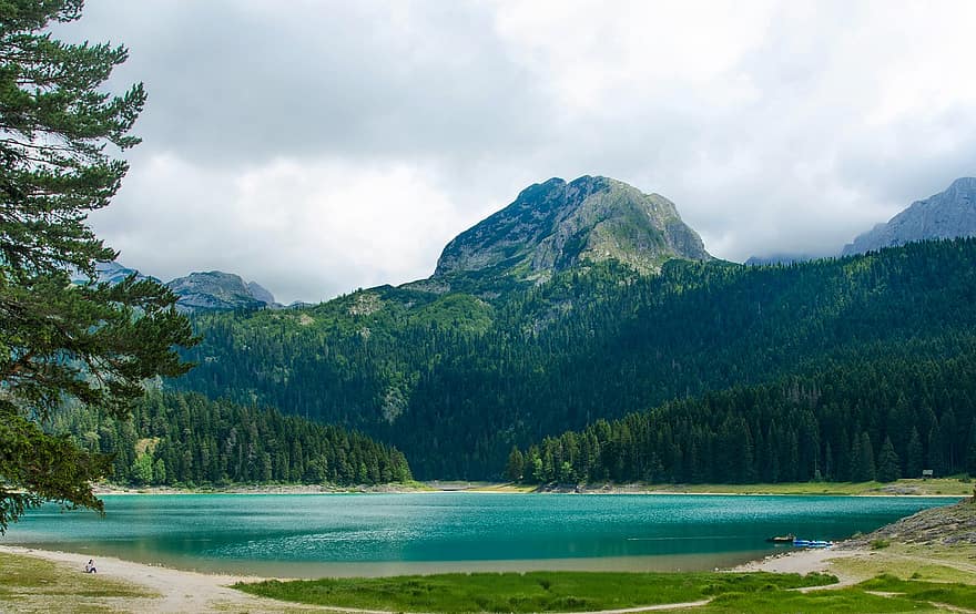 lago, montagne, alberi, acqua, boschi, foresta, catena montuosa, scenario, panoramico, natura, montenegro