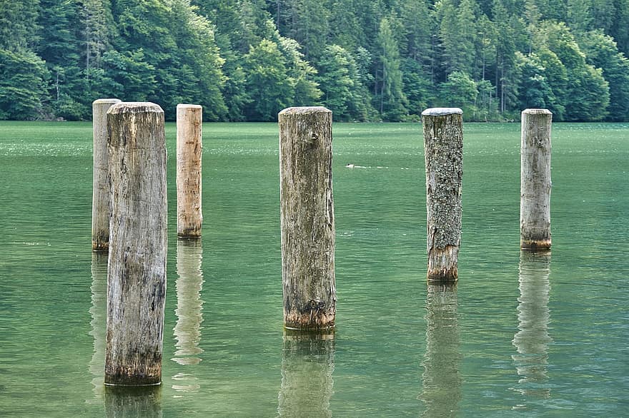 postes de madeira, lago, rio, natureza
