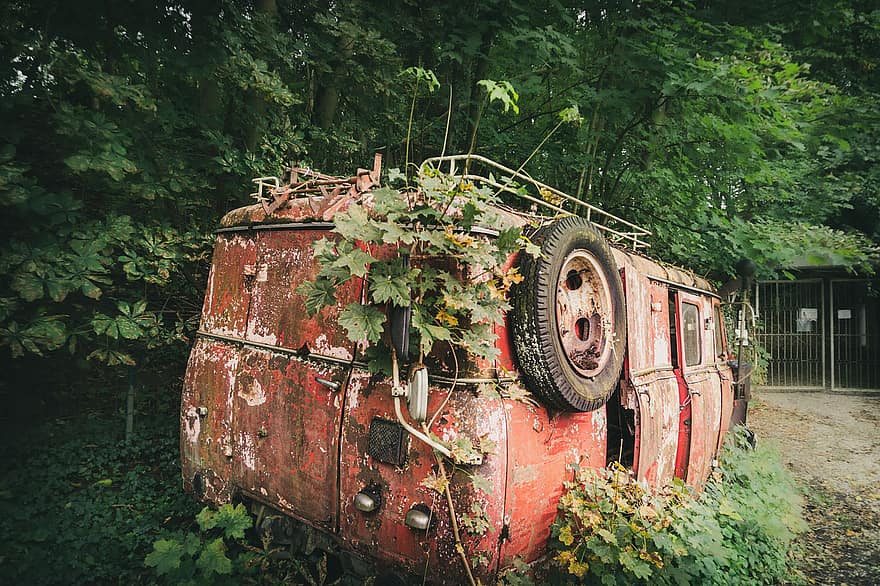 carro abandonado, bosque, vehículo abandonado, antiguo, escena rural, coche, anticuado, abandonado, oxidado, obsoleto, transporte