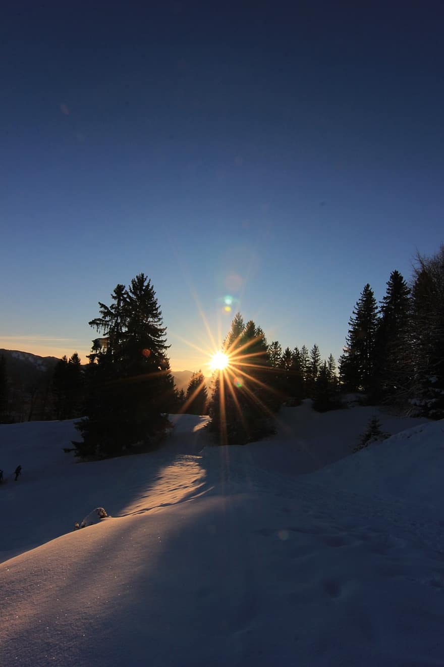 neu, hivern, muntanya, Alps, posta de sol, sol, paisatge, naturalesa, arbres, bosc, a l'aire lliure
