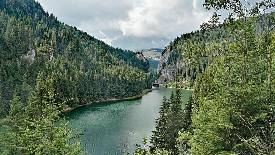 Der Bolboci-See, Berge, Rumänien, See, Gebirge, Wald, Bäume, Natur