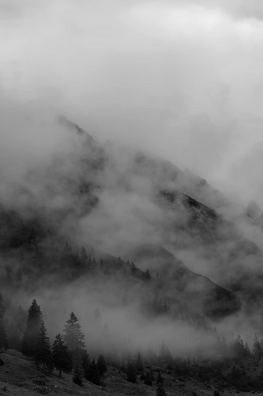 планина, гора, мъгла, мъгливо, мъглявина, дървета, пейзаж, природа