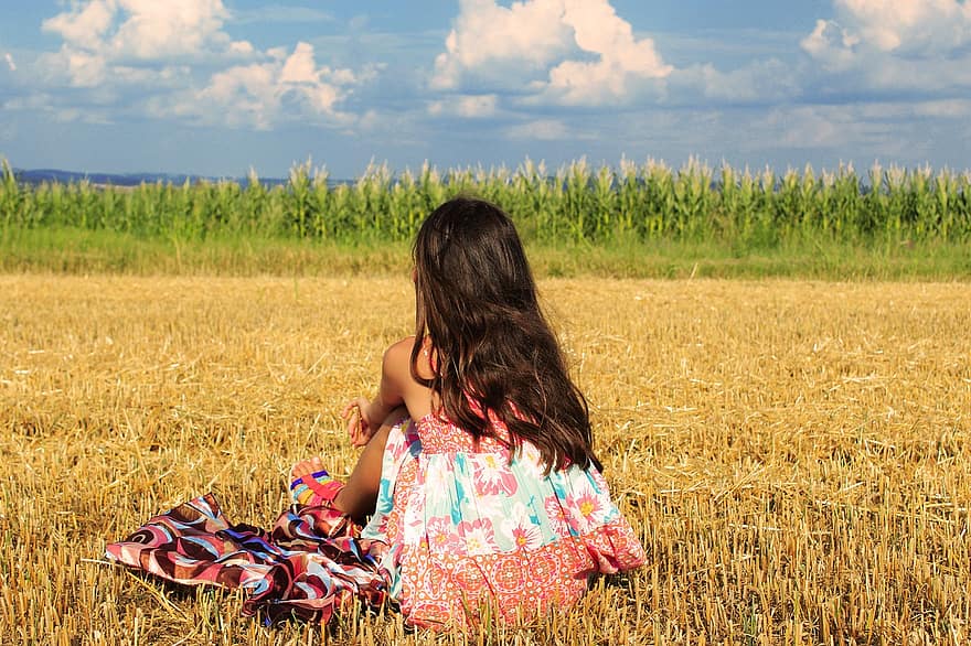 дівчина, поодинці, урожай, дитина, кукурудза, ячмінь, поле, літо, горизонт, жовтий, сонце