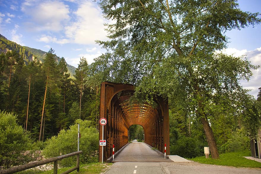 мост, Дорога, стальной мост, дорожный знак, велосипедная дорожка, дорожка, состав, пейзаж, на открытом воздухе, деревья, лес