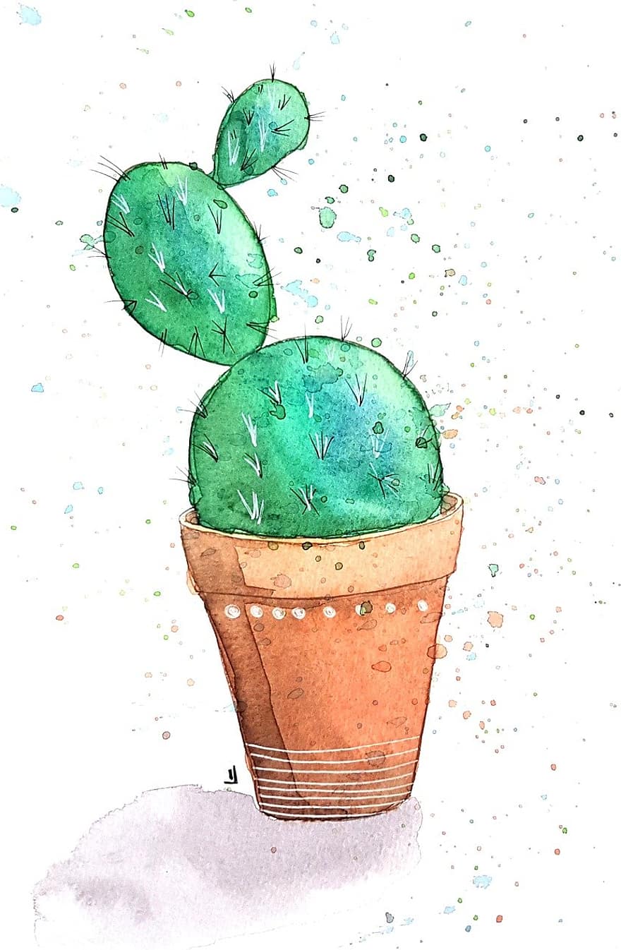 acquerello, cactus, pianta, disegno