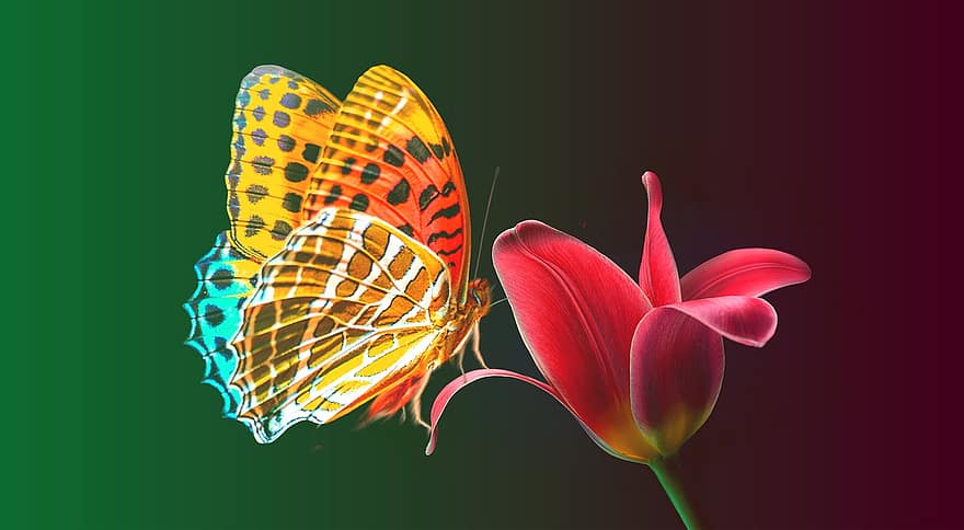 бабочка, насекомое, крылья, цветок, лепестки, растения, природа, цветочный, лотос, солнце, цветение