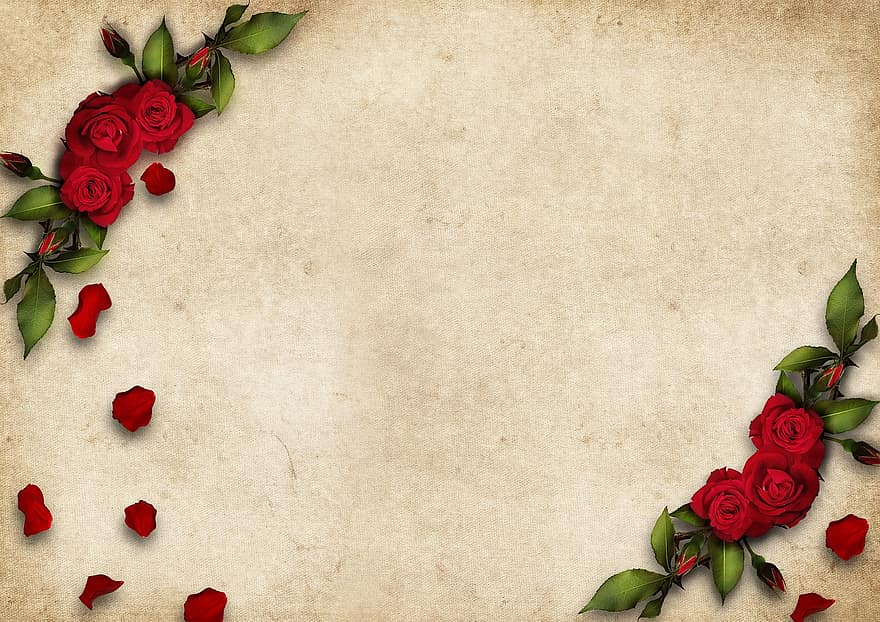 güller, çerçeve, Gül yaprakları, bağbozumu, tebrik kartı, düğün, kopya alanı, romantik, Aşk, dekoratif, dekore edilmiş