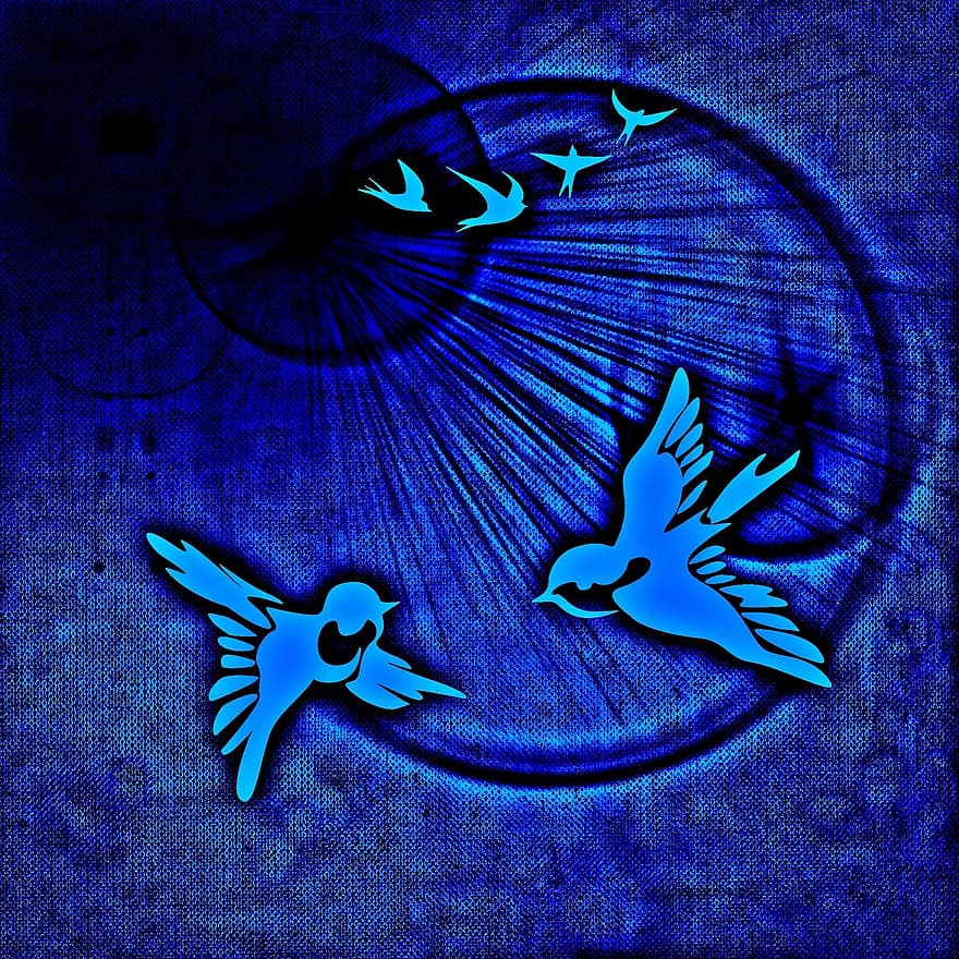 гълъб на мира, птици, спокойствие, двойка, слънчева светлина, заден план, син