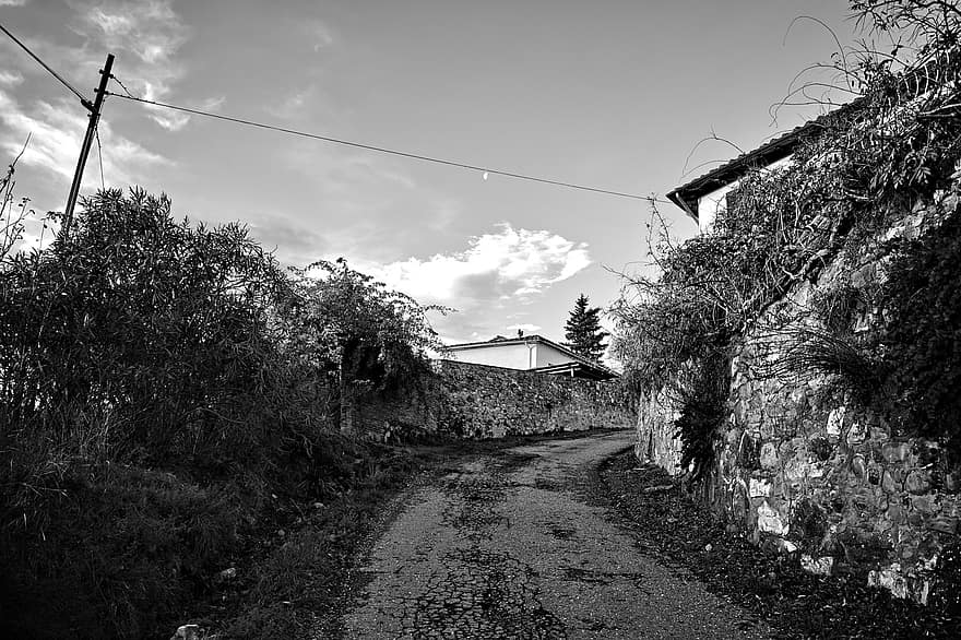 道路、家、木、村、田舎道、農村、田舎、DelleTavarnuzze経由、フィレンツェ、トスカーナ、キャンティ