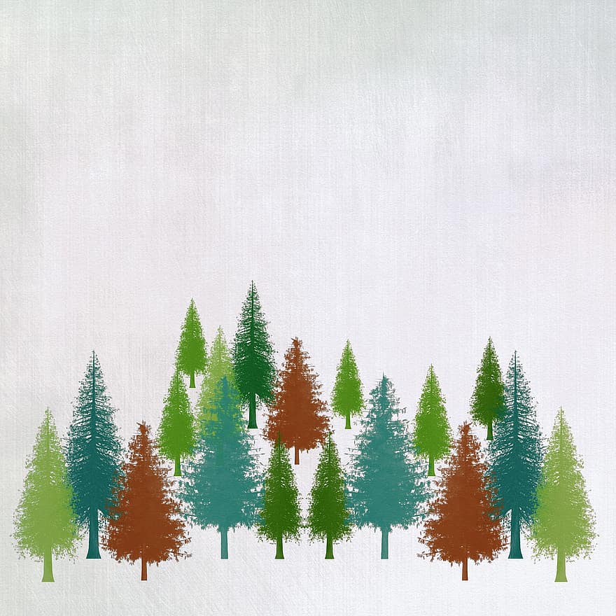 pinheiros, arvores, floresta, estacionário, sempre-vivas, colorida, feriado, inverno, temporada, desenhar, alegre