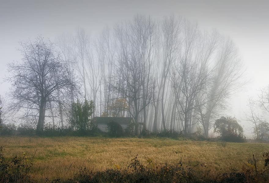 мъгла, природа, Кастория, селско стопанство, пейзаж