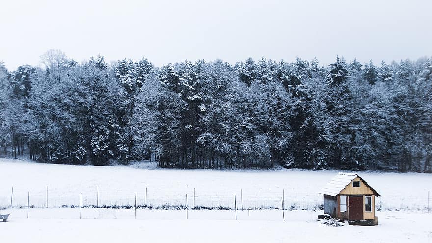 Trees, Forest, Cabin, Hut, Snow, Wintry, Cold, Snowfall, Clouds, Nature, Winter