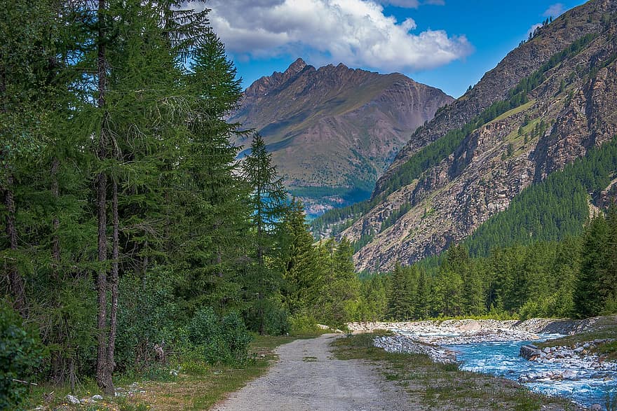 Mountain, Creek, River, Path, Water, Trees, Blue, Wood, Alps, Italy, Landscape