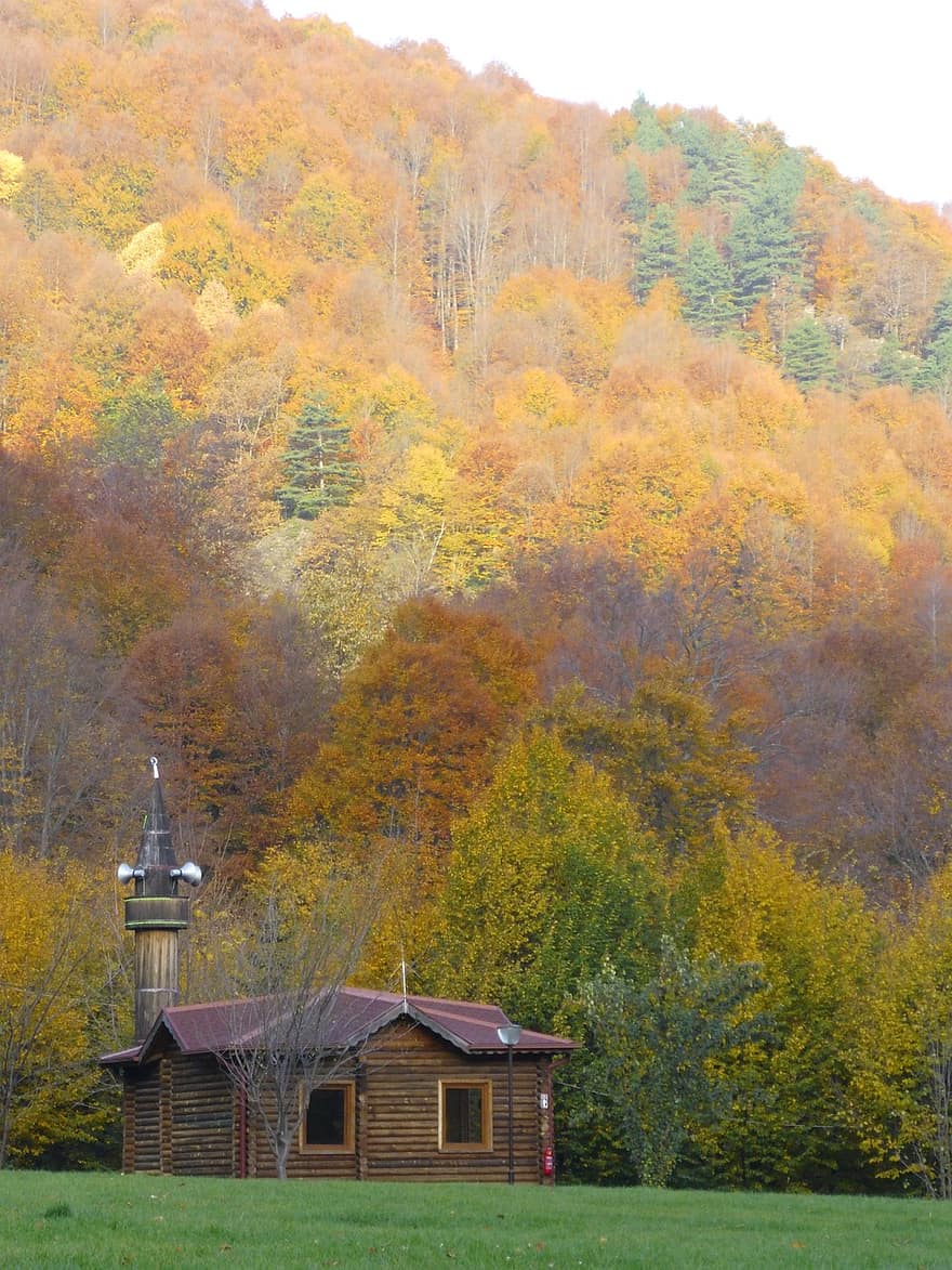 Montagne, l'automne, campagne, la nature, forêt, mosquée, arbre, jaune, scène rurale, feuille, paysage