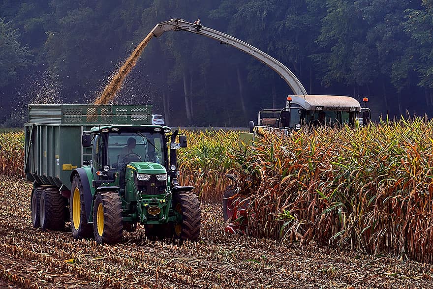 panen jagung, Traktor panen, traktor, mesin penuai, mesin pertanian, waktu panen, panen, garapan, bidang, ladang jagung, pertanian