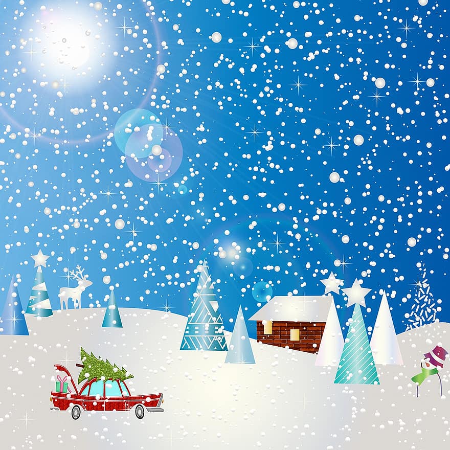 Christmas Background, Snow, Trees, Christmas Trees, Snowfall, Snowy, Snowscape, Winterscape, Winter, Hoarfrost, Background