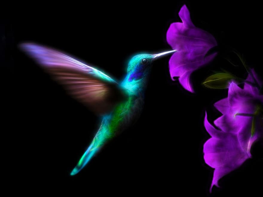 hummingbird, fugl, fargerik, ave, flygning, flying
