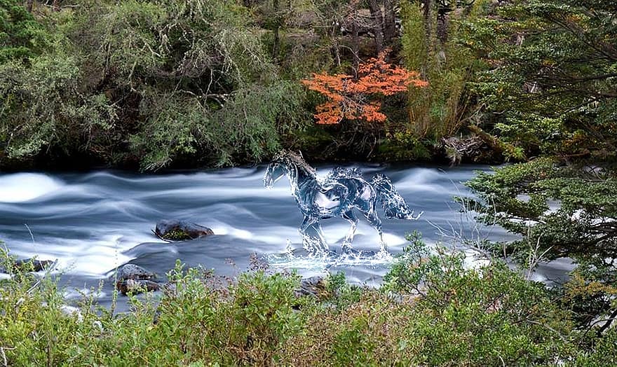 häst, vatten, skogar
