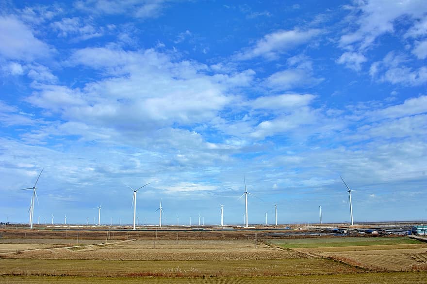 Windmühlen, Felder, Landschaft, Windkraftanlagen, Windkraft, Generator, Elektrizität, umweltfreundlich, Energie, Wind, Republik Korea