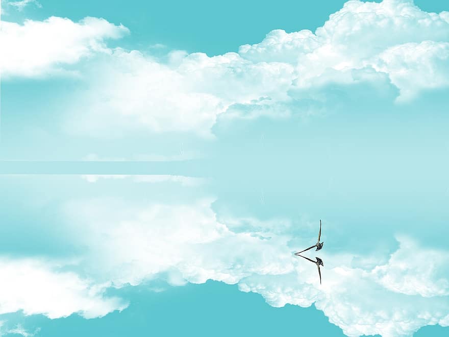 Bird, Sea, Clouds, Marine, blue, cloud, sky, propeller, day, summer, weather