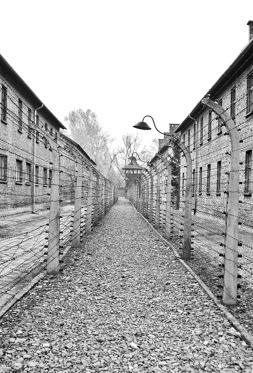 auschwitz, campament, holocaust, concentració, Polònia, història, guerra, cable, mort, presó, tanca