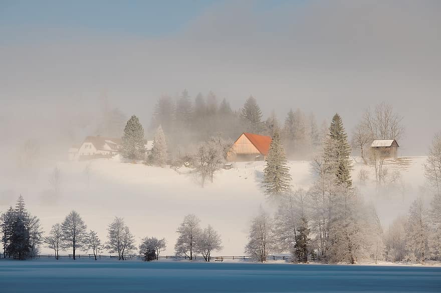Winter, Winter Landscape, Valley, Nature, Landscape, Snow, Snow Landscape, Fog, forest, tree, mountain