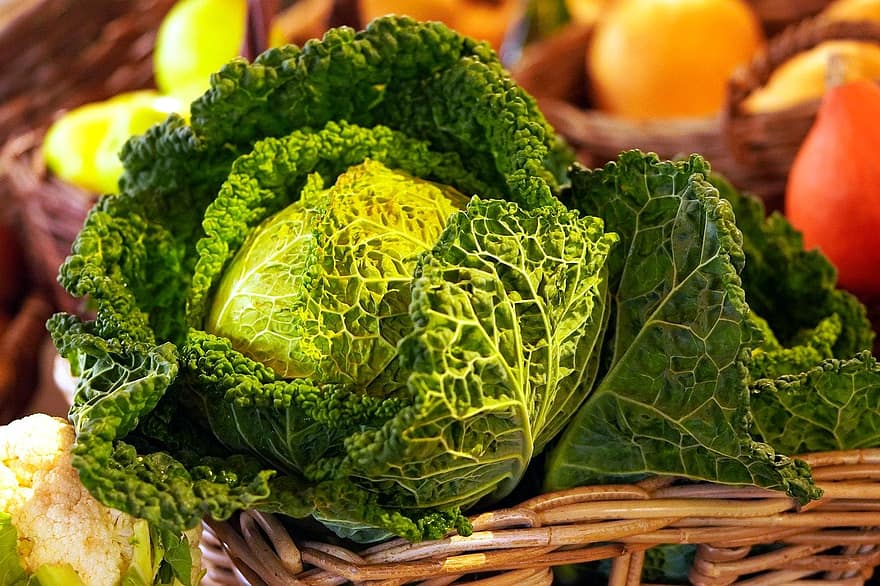vegetais folhosos, legumes, produto fresco, savoy
