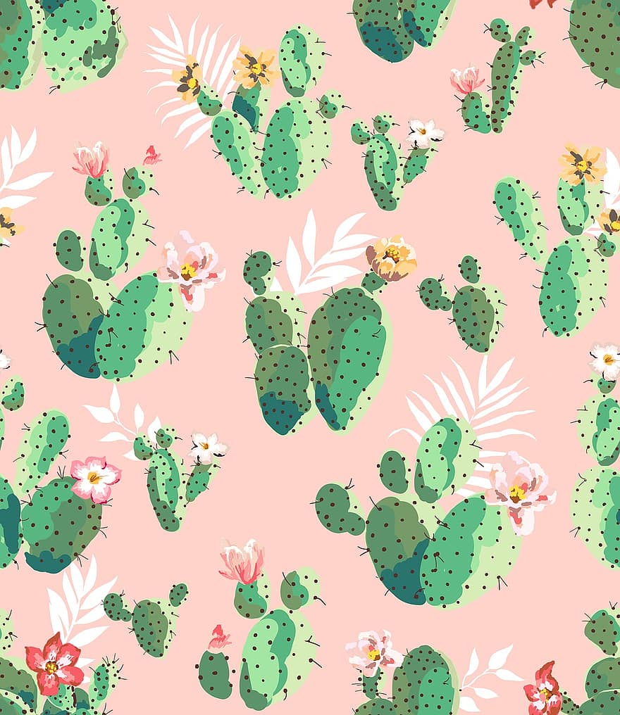 kaktusy, północny wschód