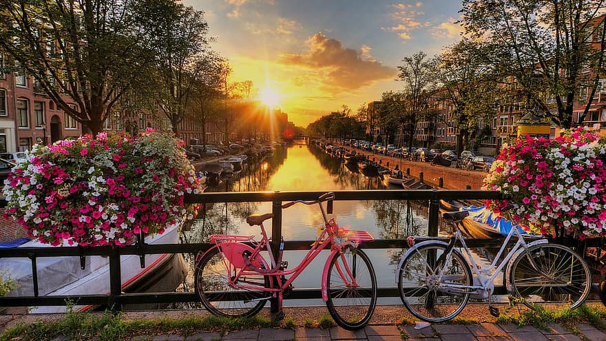 Bicycles, Amsterdam, Bridge, Nature, Travel