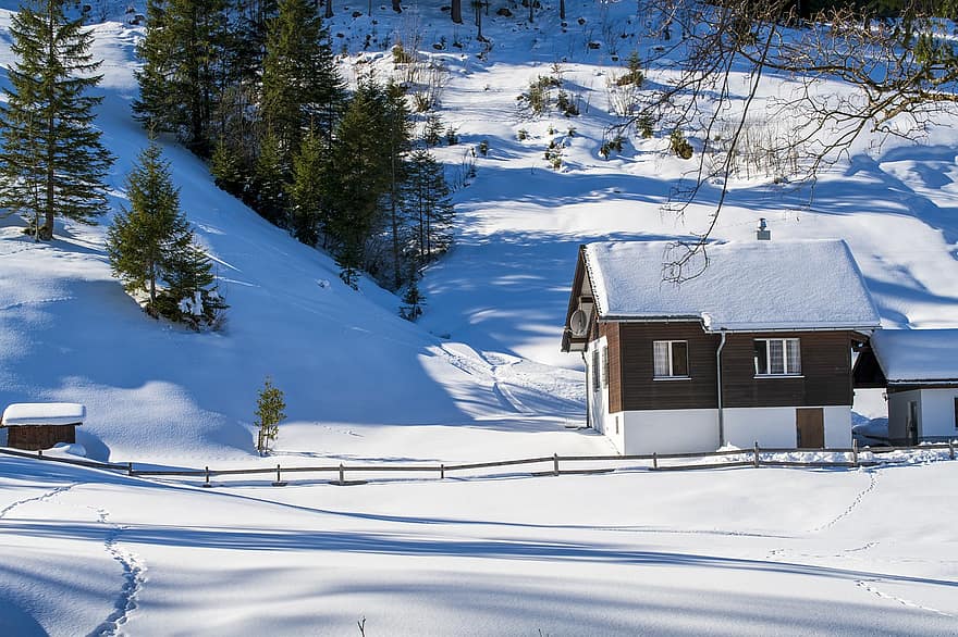 家、村、冬、雪、雪の吹きだまり、アルプス、タウン、ブルニ、シュヴィーツ州、スイス、木