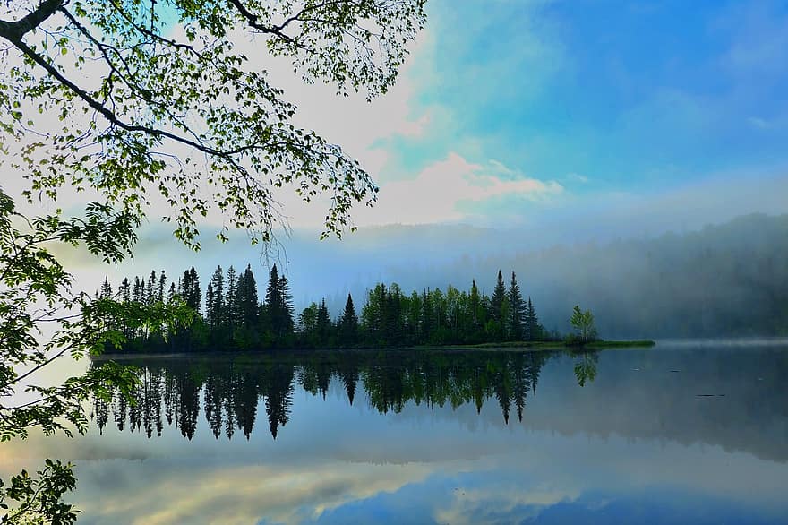 озеро, туман, отражение, воды, природа, декорации, деревья, хвойный, леса, сценический, спокойный