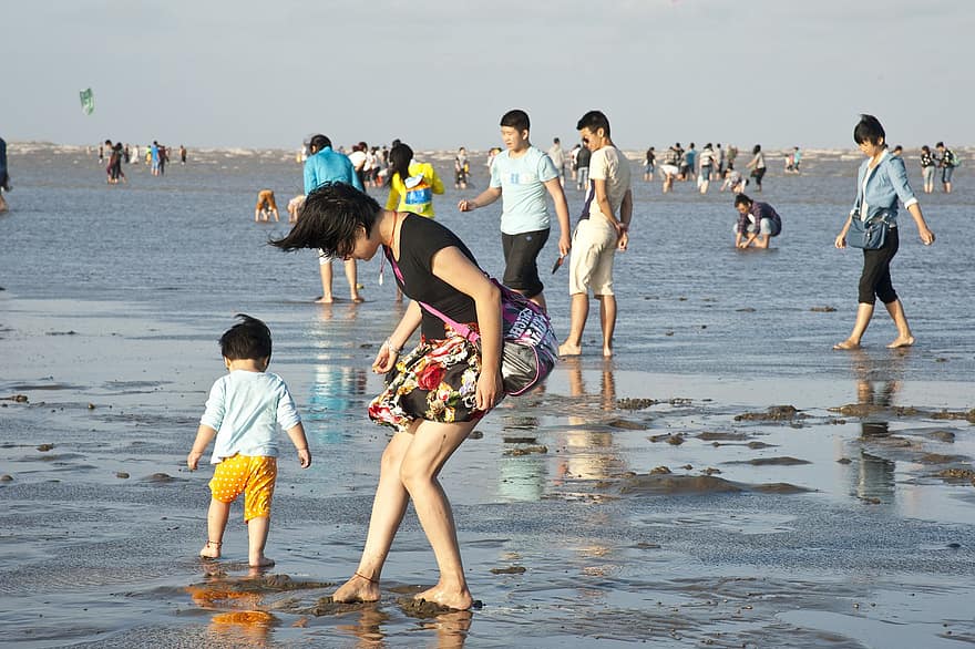 пляж, семья, летом, на открытом воздухе, ребенок, каникулы, веселье, воды, женщины, мальчиков, детство