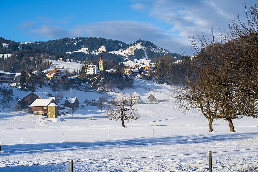 žiemą, Miestas, Šveicarija, sniegas, namų, kalnas, kraštovaizdį, snieguotas, lauke, sezoną, miškas