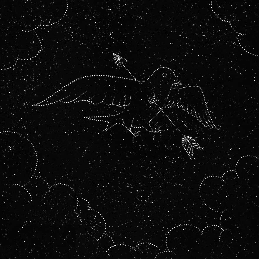pasăre, stele, aripi, săgeată, univers, înstelat, galaxie, spaţiu, noapte, desen animat, pictură