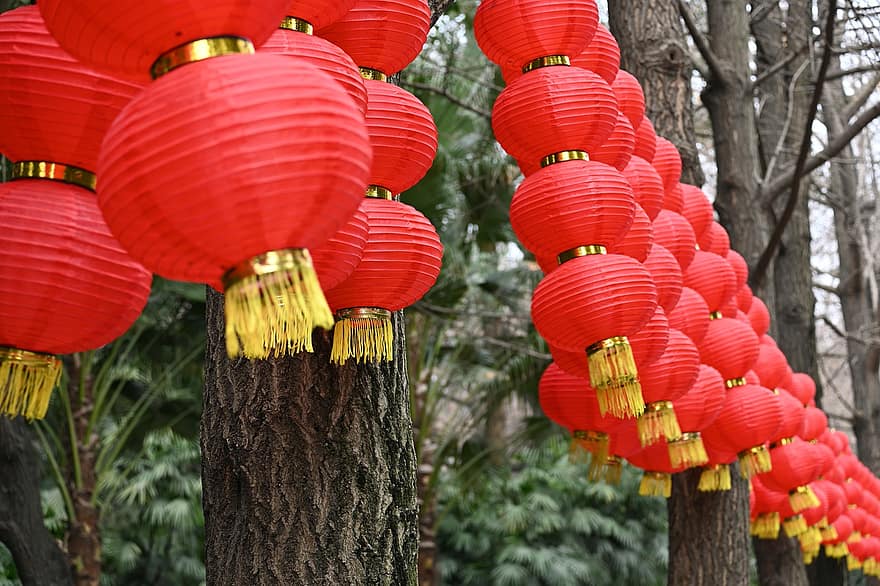 Nieuwjaar, lentefestival, lantaarn, decoratie, culturen, viering, Chinese cultuur, Chinese lantaarn, traditioneel festival, opknoping, religie