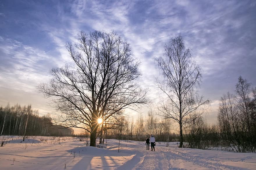 поле, зима, захід сонця, дерева, Люди, прогулятися, дозвілля, сніг, сонце, сонячне світло, краєвид
