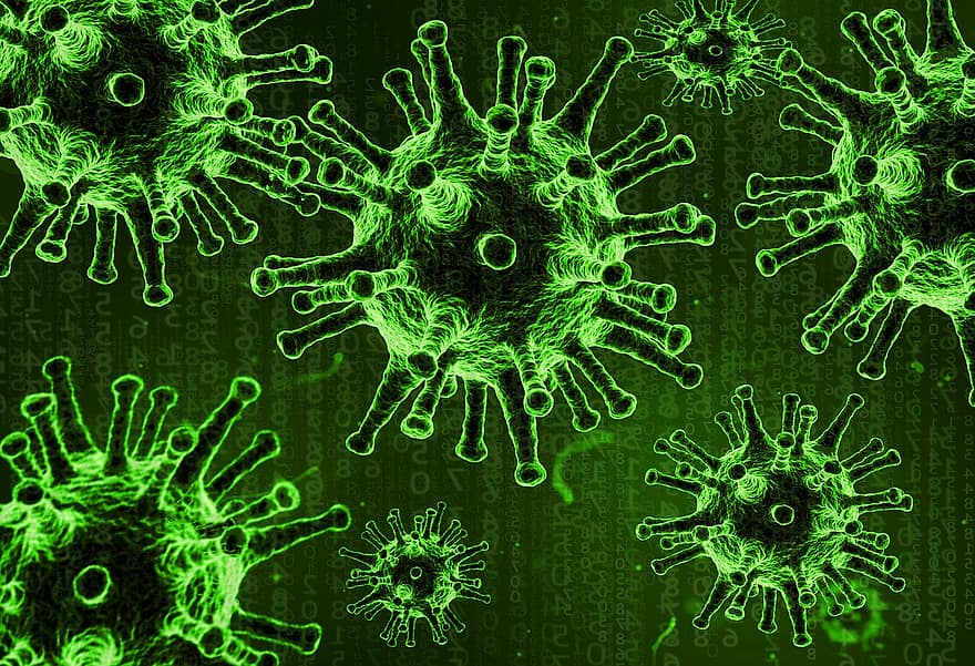 corona, koronavirus, covid, covid-19, virus, karanténa, pandemie, epidemie, panika, choroba, patogen
