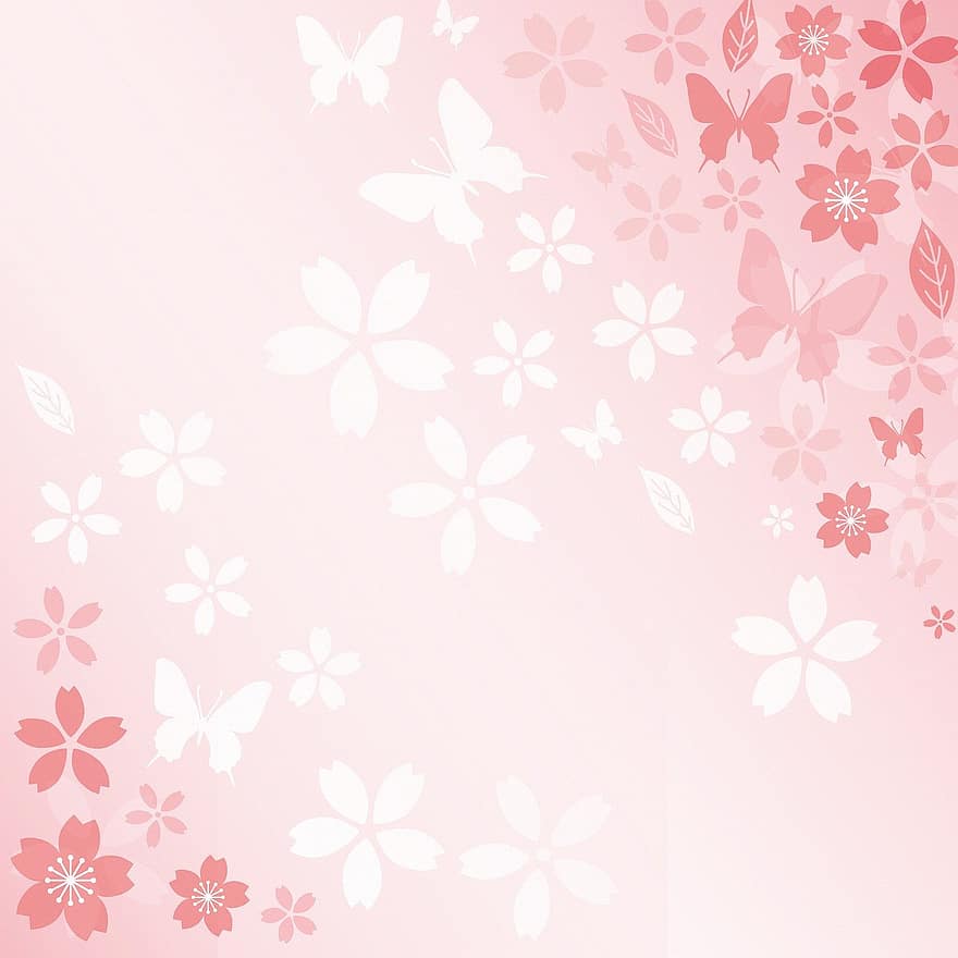 Paper digital Sakura, Flors de cirerer, rosa, japonès, sakura, floral, primavera, florir, naturalesa, branca, cirera