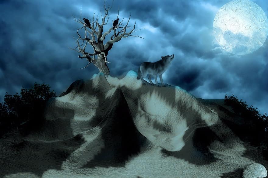 Luna, lobo, noche, aullido, Luna llena, oscuridad, atmósfera, luz de la luna, nubes, extraño, atmosférico