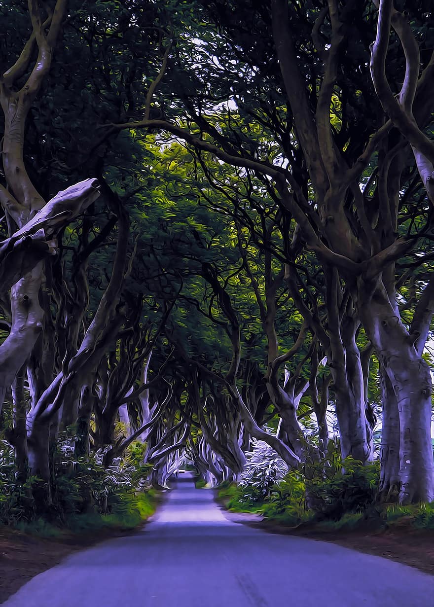 Īrija, tumšajiem dzīvžogiem, dižskābardis, koki, mistisks, vecs, avenue, raksturs, aleja, ainavu, ceļš