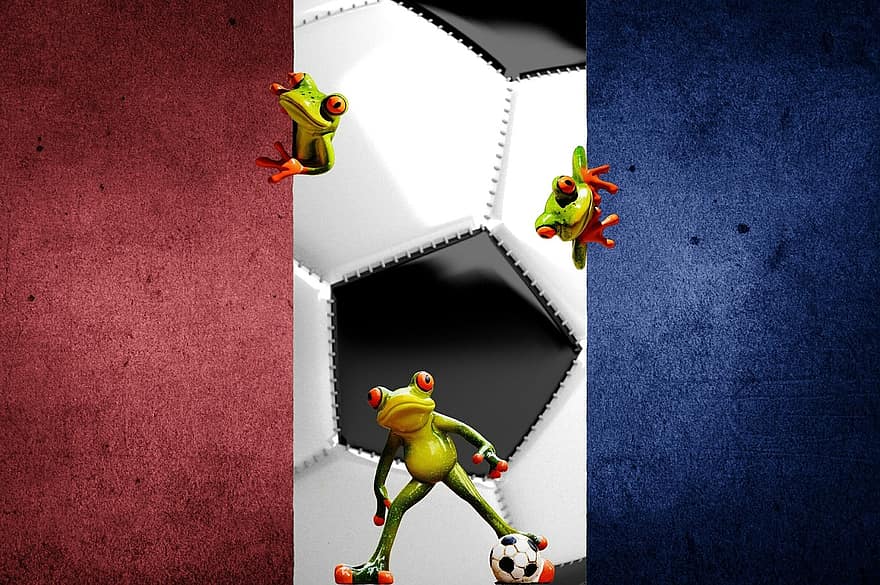 kejuaraan eropa, sepak bola, 2016, Perancis, turnamen, kompetisi, olahraga, bermain, katak, lucu, imut